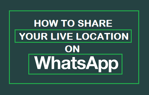 How to Share Live Location On WhatsApp iPhone and Android